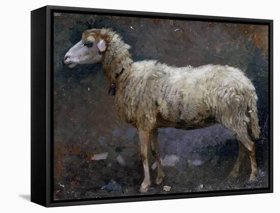 Sheep in Profile-Stefano Bruzzi-Framed Stretched Canvas
