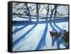 Sheep in Snow, Derbyshire-Andrew Macara-Framed Stretched Canvas