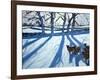 Sheep in Snow, Derbyshire-Andrew Macara-Framed Giclee Print