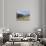 Sheep in the Alps Between South Tyrol, Italy, and North Tyrol, Austria-Martin Zwick-Photographic Print displayed on a wall