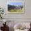 Sheep in the Alps Between South Tyrol, Italy, and North Tyrol, Austria-Martin Zwick-Framed Photographic Print displayed on a wall