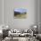 Sheep in the Alps Between South Tyrol, Italy, and North Tyrol, Austria-Martin Zwick-Stretched Canvas displayed on a wall