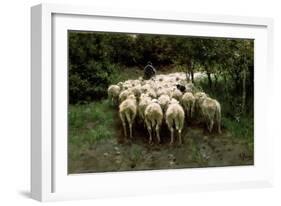 Sheep in the Forest, 19th Century-Anton Mauve-Framed Giclee Print