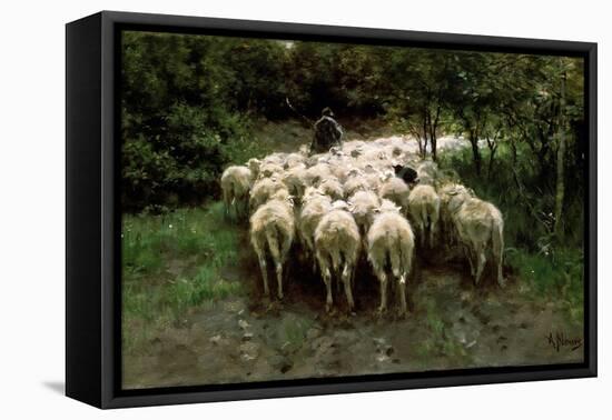 Sheep in the Forest, 19th Century-Anton Mauve-Framed Stretched Canvas