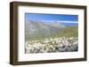 Sheep in the green pastures surrounded by rocky peaks, Val Di Viso, Camonica Valley, province of Br-Roberto Moiola-Framed Photographic Print