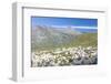 Sheep in the green pastures surrounded by rocky peaks, Val Di Viso, Camonica Valley, province of Br-Roberto Moiola-Framed Photographic Print