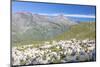 Sheep in the green pastures surrounded by rocky peaks, Val Di Viso, Camonica Valley, province of Br-Roberto Moiola-Mounted Photographic Print