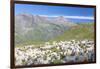 Sheep in the green pastures surrounded by rocky peaks, Val Di Viso, Camonica Valley, province of Br-Roberto Moiola-Framed Photographic Print