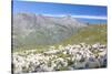 Sheep in the green pastures surrounded by rocky peaks, Val Di Viso, Camonica Valley, province of Br-Roberto Moiola-Stretched Canvas