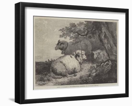 Sheep, in the International Exhibition-null-Framed Giclee Print