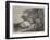 Sheep, in the International Exhibition-null-Framed Giclee Print
