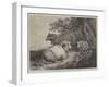 Sheep, in the International Exhibition-null-Framed Giclee Print