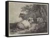 Sheep, in the International Exhibition-null-Framed Stretched Canvas