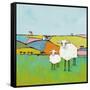 Sheep in the Meadow-Phyllis Adams-Framed Stretched Canvas