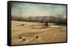 Sheep in the Meadow-Jai Johnson-Framed Stretched Canvas