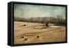 Sheep in the Meadow-Jai Johnson-Framed Stretched Canvas