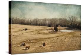 Sheep in the Meadow-Jai Johnson-Stretched Canvas