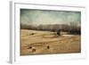 Sheep in the Meadow-Jai Johnson-Framed Giclee Print