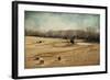 Sheep in the Meadow-Jai Johnson-Framed Giclee Print