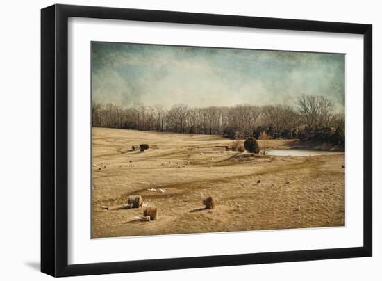 Sheep in the Meadow-Jai Johnson-Framed Giclee Print