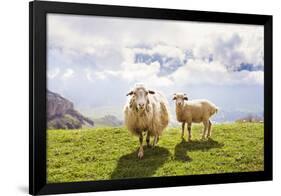 Sheep in the Mountains-Maria Komar-Framed Photographic Print