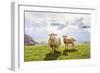 Sheep in the Mountains-Maria Komar-Framed Photographic Print