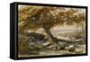 Sheep in the Shade, c.1851-Samuel Palmer-Framed Stretched Canvas