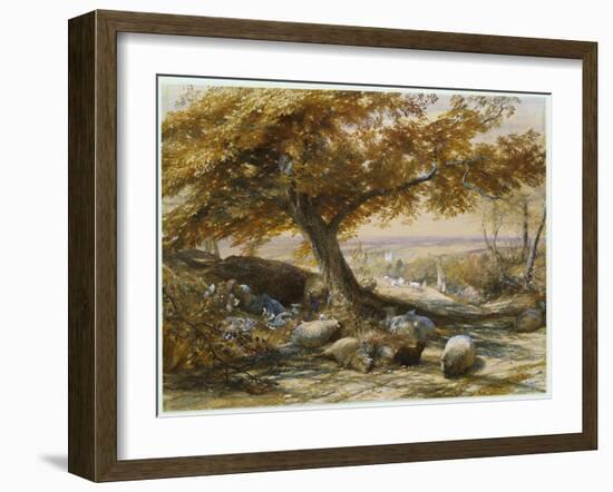 Sheep in the Shade, C.1851-Samuel Palmer-Framed Giclee Print