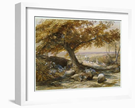 Sheep in the Shade, C.1851-Samuel Palmer-Framed Giclee Print