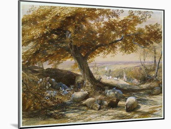 Sheep in the Shade, C.1851-Samuel Palmer-Mounted Giclee Print
