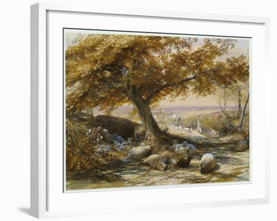 Sheep in the Shade, C.1851-Samuel Palmer-Framed Giclee Print