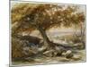 Sheep in the Shade, C.1851-Samuel Palmer-Mounted Giclee Print