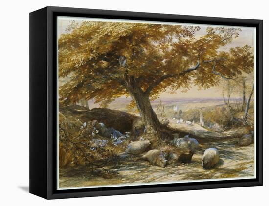 Sheep in the Shade, C.1851-Samuel Palmer-Framed Stretched Canvas