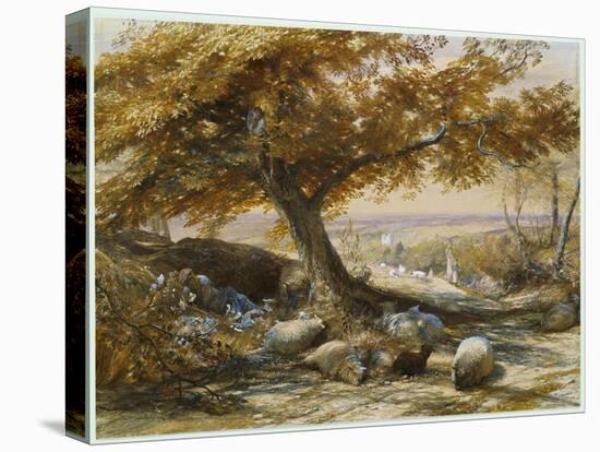 Sheep in the Shade, C.1851-Samuel Palmer-Stretched Canvas