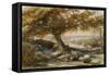 Sheep in the Shade, c.1851-Samuel Palmer-Framed Stretched Canvas