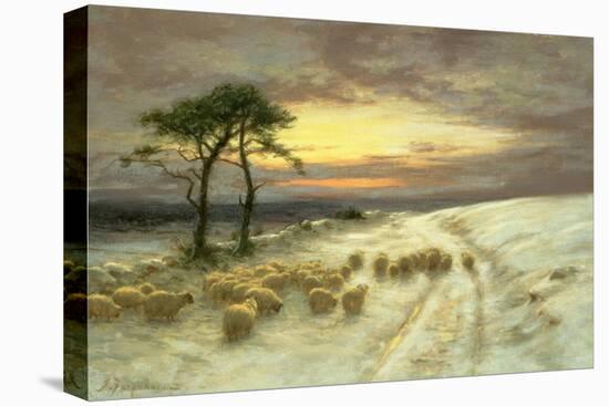 Sheep in the Snow-Joseph Farquharson-Stretched Canvas