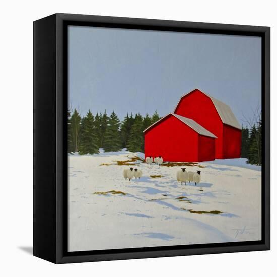 Sheep in the Snow-Tina Palmer-Framed Stretched Canvas