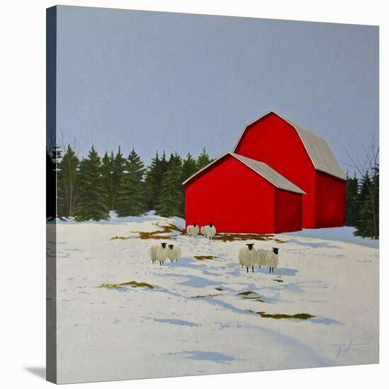 Sheep in the Snow-Tina Palmer-Stretched Canvas