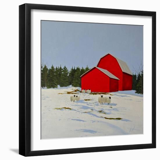 Sheep in the Snow-Tina Palmer-Framed Giclee Print