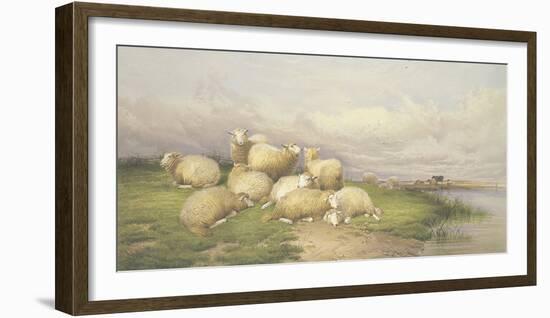 Sheep in the Water Meadows-Thomas Cooper-Framed Giclee Print