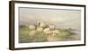 Sheep in the Water Meadows-Thomas Cooper-Framed Giclee Print