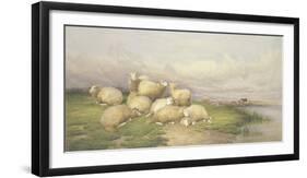 Sheep in the Water Meadows-Thomas Cooper-Framed Giclee Print