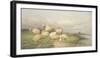 Sheep in the Water Meadows-Thomas Cooper-Framed Giclee Print