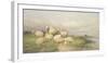 Sheep in the Water Meadows-Thomas Cooper-Framed Giclee Print