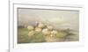 Sheep in the Water Meadows-Thomas Cooper-Framed Giclee Print