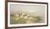 Sheep in the Water Meadows-Thomas Cooper-Framed Giclee Print