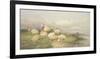 Sheep in the Water Meadows-Thomas Cooper-Framed Giclee Print