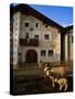 Sheep in Village, Graubunden, Switzerland-Walter Bibikow-Stretched Canvas