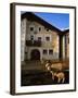 Sheep in Village, Graubunden, Switzerland-Walter Bibikow-Framed Photographic Print