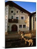 Sheep in Village, Graubunden, Switzerland-Walter Bibikow-Mounted Photographic Print